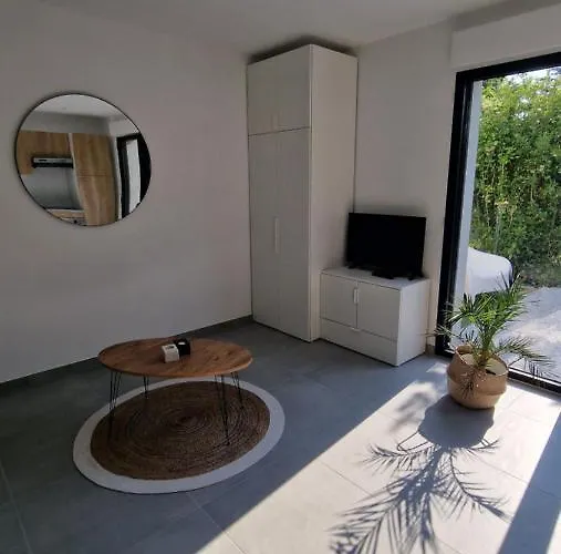 公寓 Le Patio : Avec Exterieur *